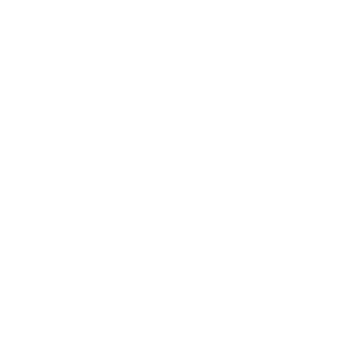 snappy-digital-ph-marketing-services-solviva-logo